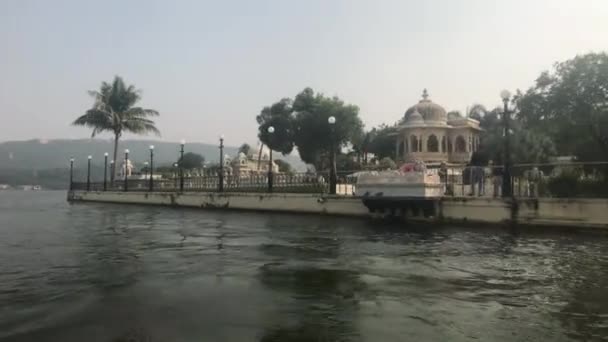 Udaipur, India - palm tree on palace island part 3 — ストック動画