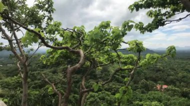 Dambulla, Sri Lanka, bitişik bahçeli mağara tapınağı.
