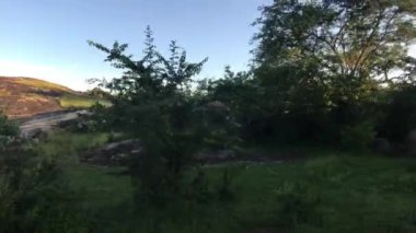 Yala, Sri Lanka, shrubs and mountains after rain