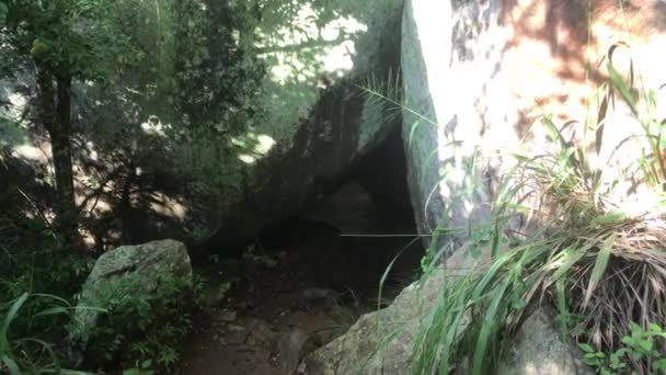 Sigiriya, Sri Lanka, mountains and forest in the tropics — 비디오