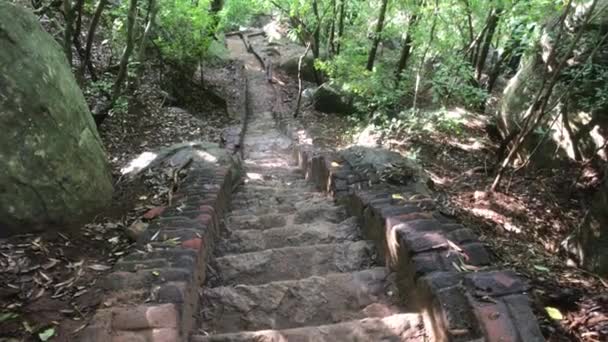 Sigiriya, Sri Lanka, an ancient staircase in the rainforest — Stok video