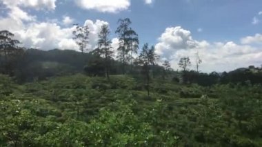 Ella, Sri Lanka, forest landscapes along the way part 1