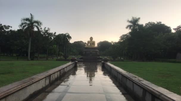 Colombo, Sri lanka, November 20, 2019, 7 F. R. Senanayake Mawatha, Viharamahadevi Park, Buddha view — 비디오