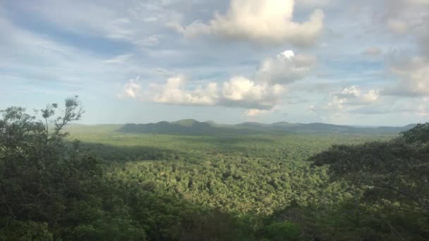 Sigiriya, Sri Lanka, un valle con campos verdes — Vídeo de stock