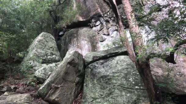 Sigiriya, Sri Lanka, piękne skały i drzewa — Wideo stockowe
