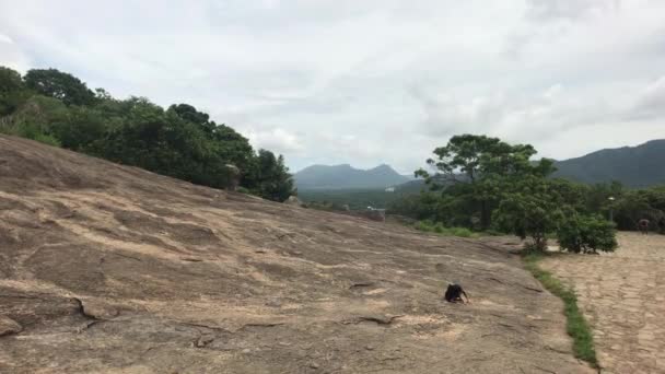 Dambulla, sri lanka, felsiges Gelände in der Nähe des Tempels — Stockvideo