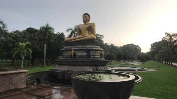 Colombo, Srí Lanka, 20. listopadu 2019, 7 F. R. Senanayake Mawatha, Viharamahadevi Park, pohled na Buddhu a pohár v dešti — Stock video