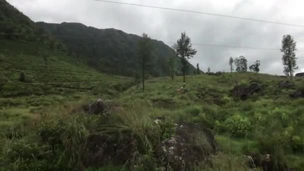 Ella, Sri Lanka, field and mountains on the train — Stock Video
