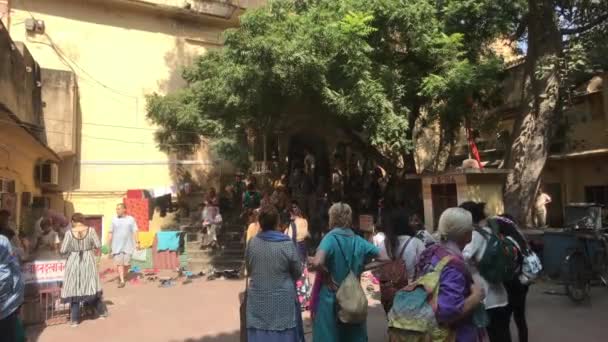 Jaipur, India - 03 de noviembre de 2019: Los peregrinos se sientan bajo un árbol parte 2 — Vídeos de Stock