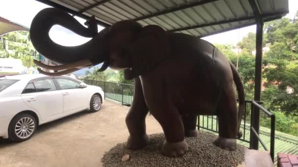 Kandy, Sri Lanka, 25 de novembro de 2019, vista do monumento do elefante do lado direito — Vídeo de Stock