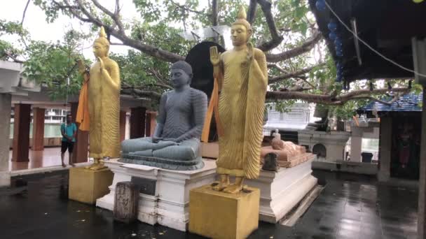 Коломбо, Шрі-Ланка, 22 листопада 2019 року, 61 Шрі-Джинаратхана Рд, храм Гангарамая вигляд пам'ятників — стокове відео