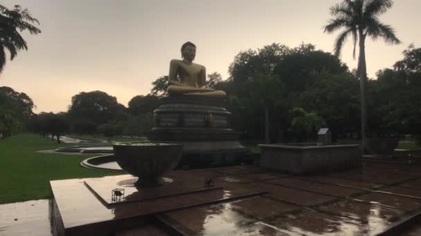 Colombo, sri lanka, 20. november 2019, 7 f. r. senanayake mawatha, viharamahadevi park, buddha blick im regen — Stockvideo