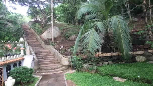 Sigiriya, Srí Lanka, palmy a schody v parku — Stock video