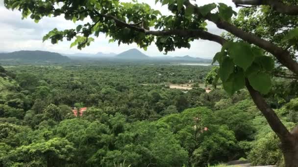 Дамбулла, Шри-Ланка, вид на зеленый ландшафт с горы — стоковое видео