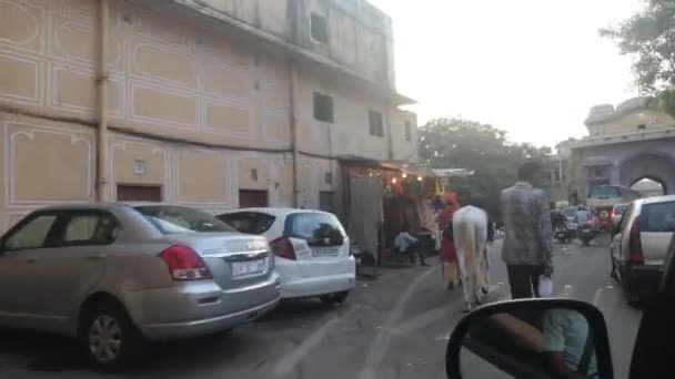 Jaipur, Inde - 03 novembre 2019 : circulation à moto le long de la route avec les touristes partie 3 — Video