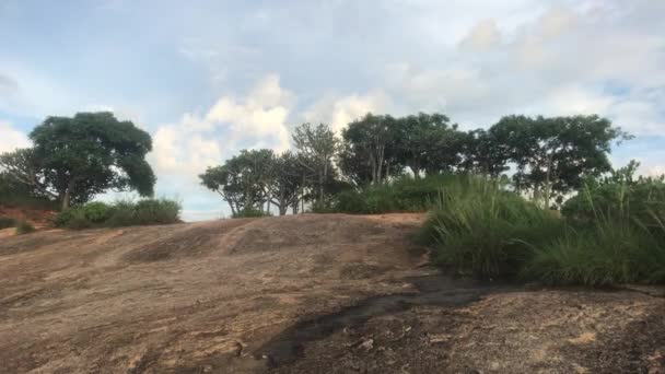 Sigiriya, Sri Lanka, arbustos e árvores na montanha — Vídeo de Stock