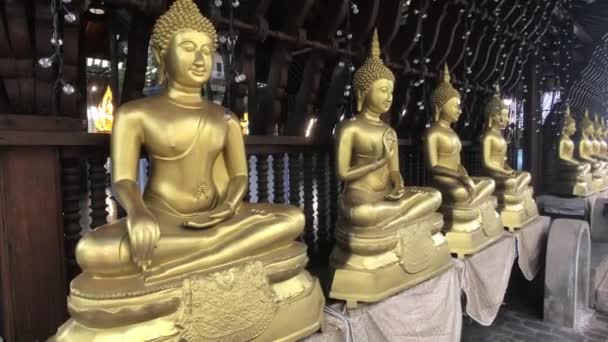 Colombo, Sri Lanka, 22 de noviembre de 2019, 61 Sri Jinarathana Rd, Gangaramaya Temple several golden Buddhas — Vídeos de Stock