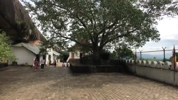 Dambulla, sri lanka, Höhlentempel mit Blick auf den heiligen Baum — Stockvideo