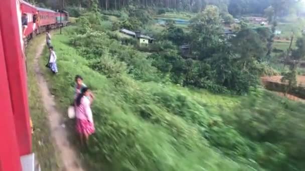Ella, Srí Lanka, 23. listopadu 2019, červený vlak na pozadí čajových plantáží s turisty — Stock video