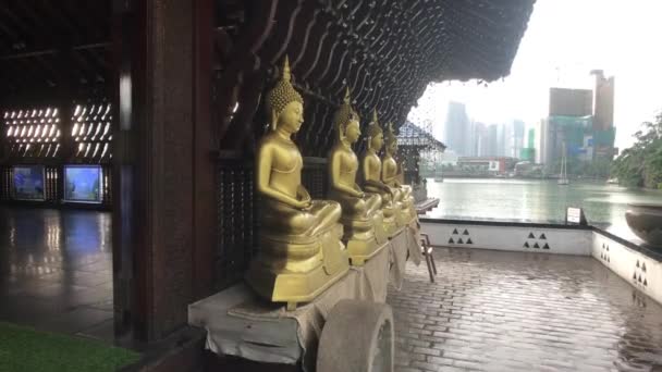 Colombo, sri lanka, 22. November 2019, 61 sri jinarathana rd, gangaramaya Tempel Seitenansicht der Buddhas — Stockvideo