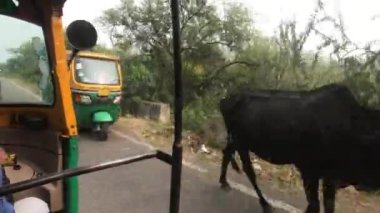 Jaipur, Hindistan - Moto rickshaw hareketi Bölüm 2
