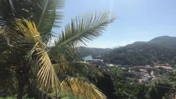 Kandy, Sri Lanka, uitzicht op de stad door de bomen — Stockvideo