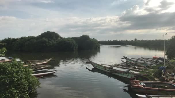 Negombo, Σρι Λάνκα, νέο τοpiικό αλιευτικό λιάνι — Αρχείο Βίντεο