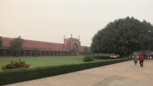 Agra, Hindistan, 10 Kasım 2019, Taj Mahal, turistler caminin girişine yakın yürüyorlar. — Stok video