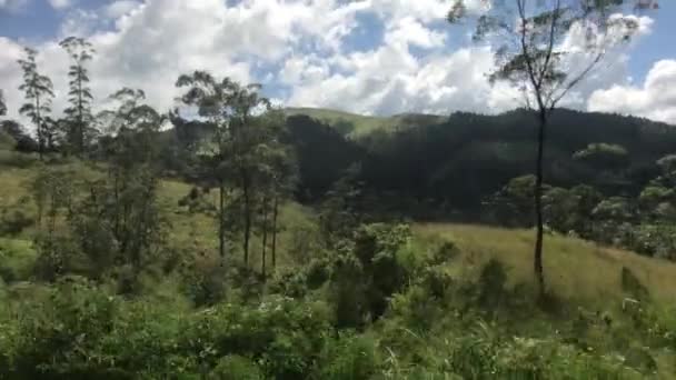 Ella, Sri Lanka, forest landscapes along the way part 2 — Stok video