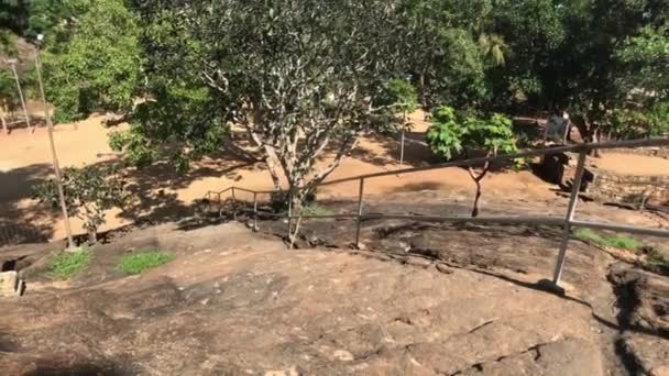 Mihintale, Sri Lanka, tree view growing on the mountain — 图库视频影像