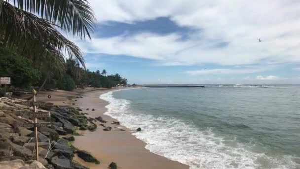 Mirissa, Sri Lanka, vreme sumbră pe mare — Videoclip de stoc