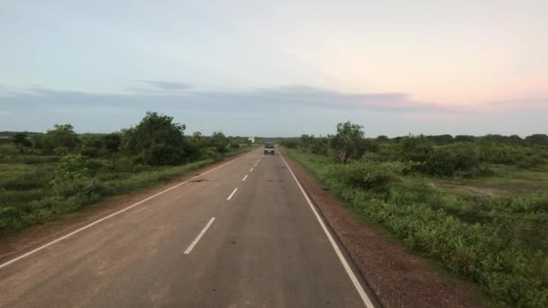 Yala, Sri Lanka, samochody nadjeżdżające od tyłu — Wideo stockowe