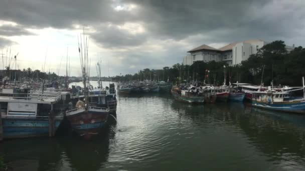 Negombo, Sri Lanka, 23 november 2019, ny lokal fiskehamn — Stockvideo
