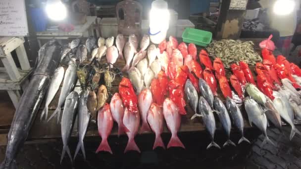 Weligama, Sri Lanka, vismarkt in de avond — Stockvideo
