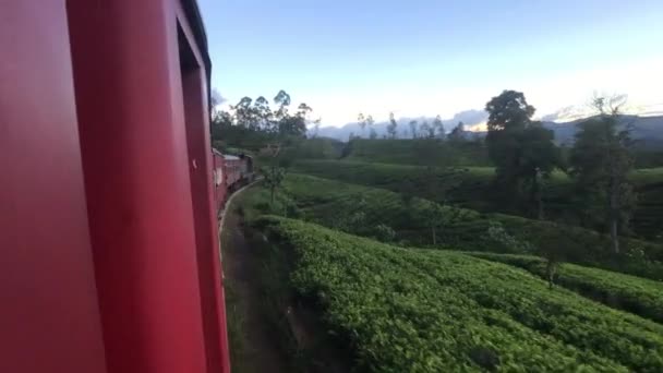 Ella, Sri Lanka, montando un tren contra el telón de fondo de las plantaciones de té — Vídeo de stock