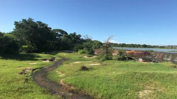 Yala, sri lanka, Krokodil im Hintergrund eines Wasserfalls — Stockvideo