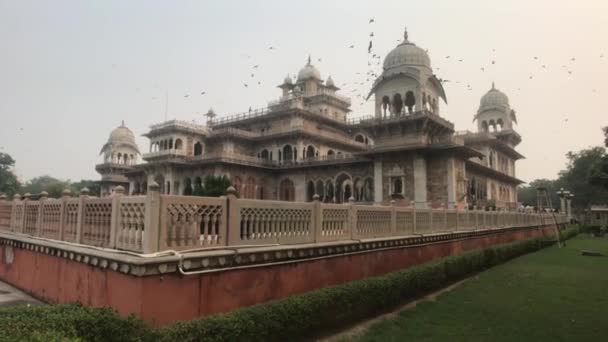 Jaipur, India - 03 noiembrie 2019: Păsările zboară prin muzeul antic — Videoclip de stoc