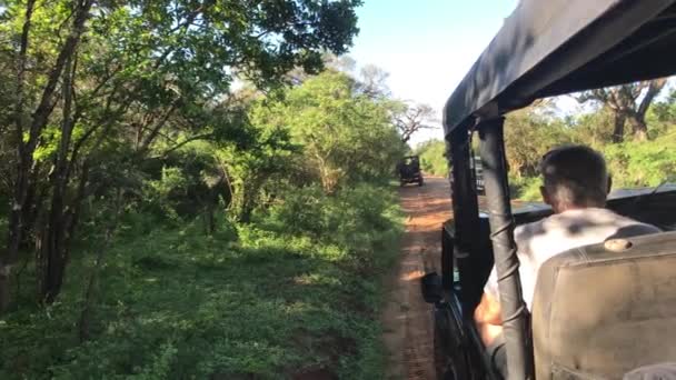 Yala, Sri Lanka, 30 Kasım 2019, jiplerde hayvanları bekleyen turistler. — Stok video