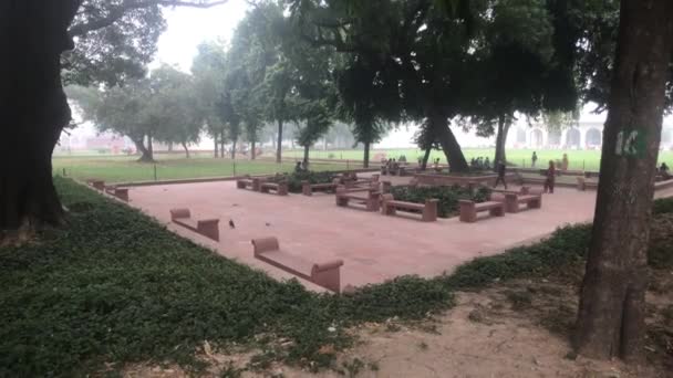 नवी दिल्ली, भारत, नोव्हेंबर 11, 2019 पर्यटक चिपमंक्ससह साइटवर चालतात — स्टॉक व्हिडिओ