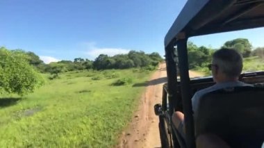 Yala, Sri Lanka, 30 Kasım 2019, turistler cipte oturuyor.