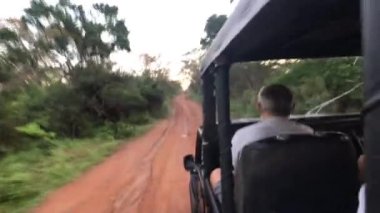 Yala, Sri Lanka, 30 Kasım 2019, turistler köy yolunda bir jiple geziyorlar.