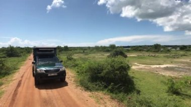 Yala, Sri Lanka, Jeep vahşi doğada duruyor.