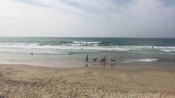 Tel Aviv, Israel - 22 de outubro de 2019: os turistas relaxam na praia parte 2 — Vídeo de Stock