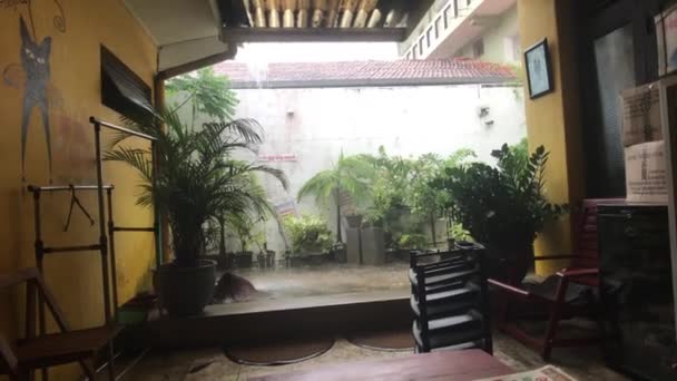 Negombo, Sri Lanka, heavy downpour in the yard — Stock Video