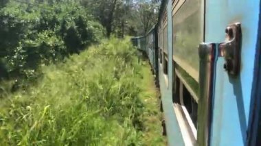 Ella, Sri Lanka, çalılıklar boyunca trafiği eğitin.