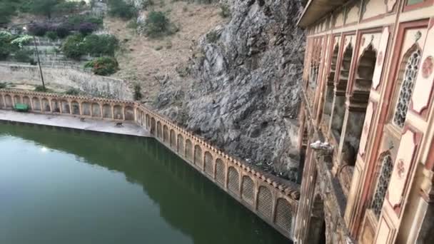 Jaipur, India, November 04, 2019 Galta Ji, monkeys peek through the windows of an old building — Stockvideo