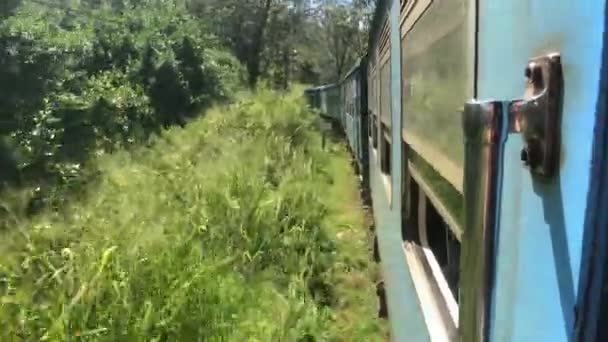 Ella, Sri Lanka, le trafic ferroviaire le long des buissons — Video
