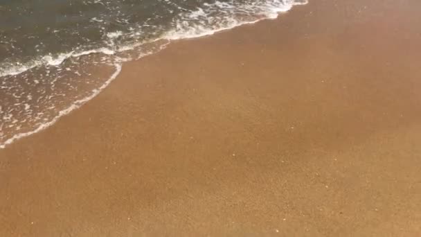 Negombo, Sri Lanka, petites vagues de l'océan Indien 