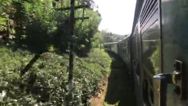 Ella, Sri Lanka, trein met snelheid — Stockvideo