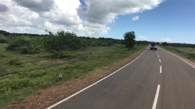 Yala, Sri Lanka, arabalar yol boyunca hareket ediyor.